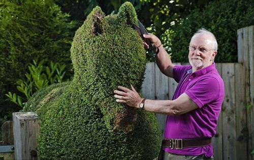 考生必讀：風景園林相關專業的志愿怎么填？