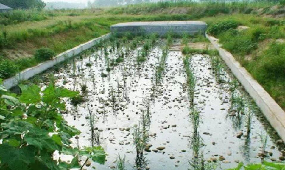 雨水花園在海綿城市建設中的意義