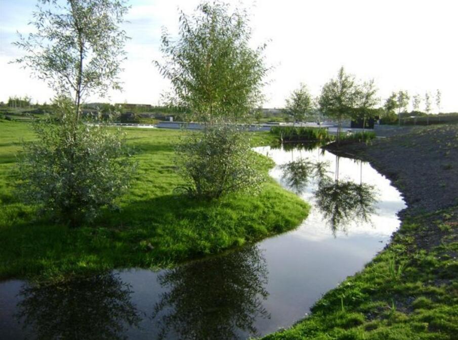 雨水花園在海綿城市建設中的意義