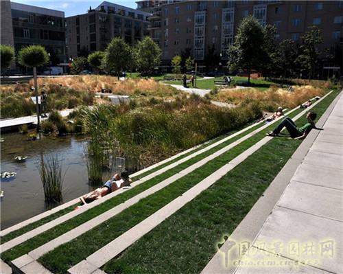雨水花園在海綿城市建設中的意義