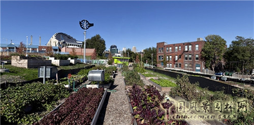 雨水花園在海綿城市建設中的意義