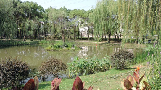 雨水花園在海綿城市建設中的意義