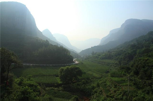 河南私藏一森林公園：林州五龍垌森林公園