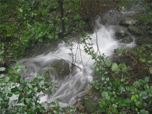 河南私藏一森林公園：林州五龍垌森林公園
