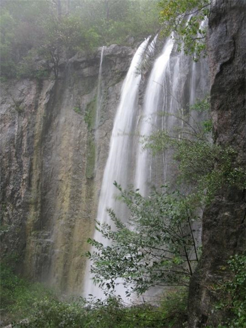 河南私藏一森林公園：林州五龍垌森林公園