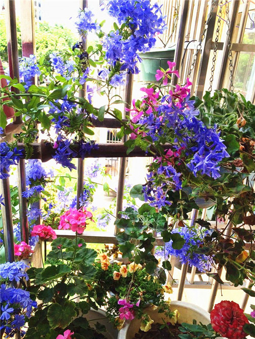 超好學(xué)的夏日插花指南！