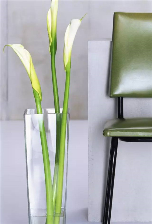 超好學(xué)的夏日插花指南！