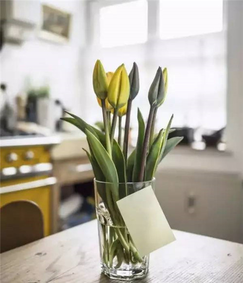 超好學(xué)的夏日插花指南！