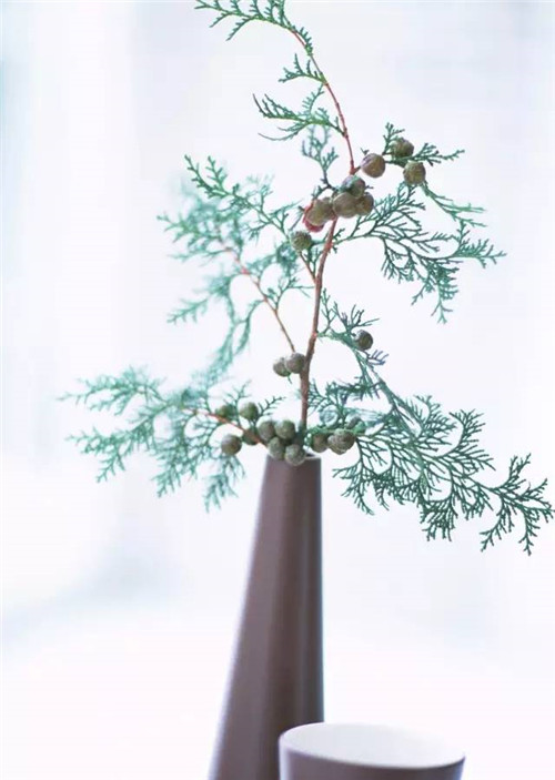 超好學的夏日插花指南!