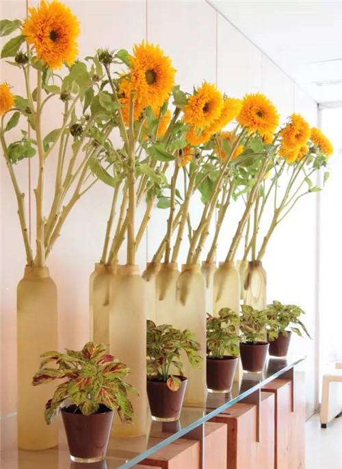 超好學的夏日插花指南！