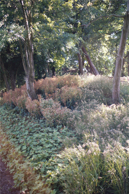 重新綻放出迷人魅力的水晶宮公園