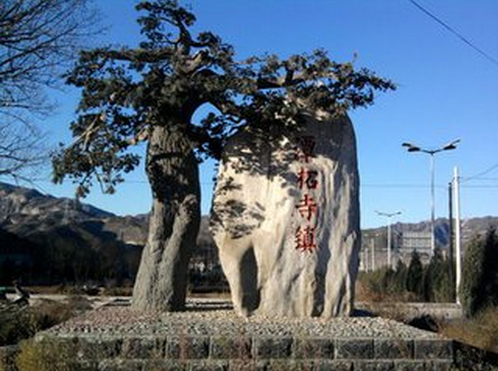原創(chuàng)丨特色小鎮(zhèn)，究竟該如何建？
