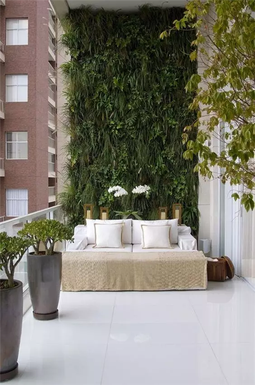 迷人的室內綠墻 將花園搬到室內