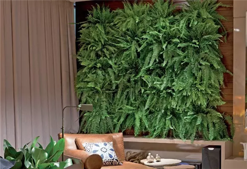 迷人的室內綠墻 將花園搬到室內