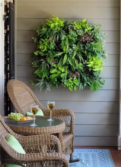 迷人的室內綠墻 將花園搬到室內