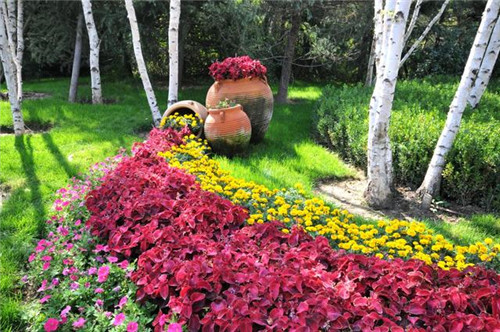 陜西西安打造靚麗新北城 市民點(diǎn)贊立體綠化