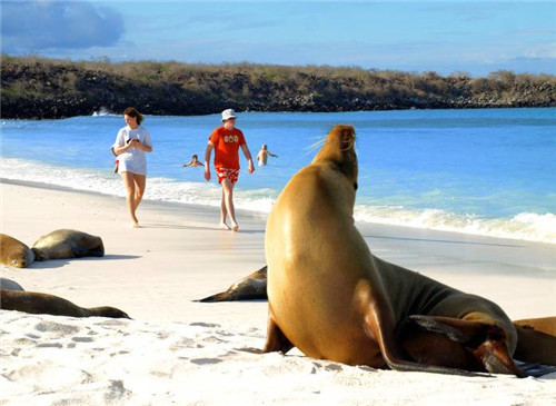 全球八大截然不同的國家公園