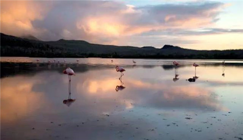 全球八大截然不同的國家公園