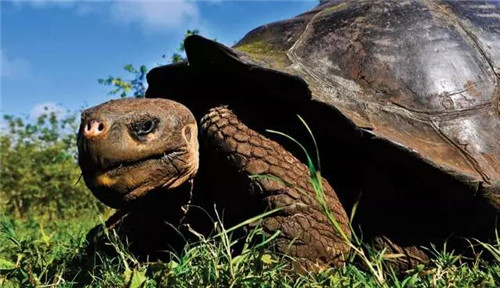 全球八大截然不同的國家公園