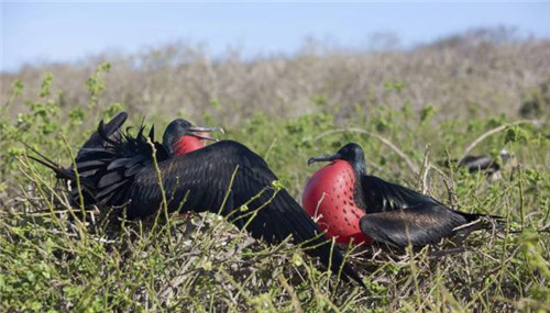 全球八大截然不同的國家公園
