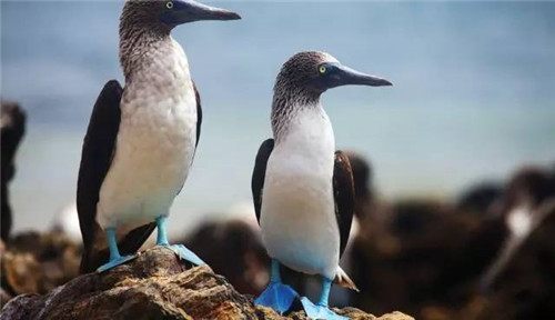 全球八大截然不同的國家公園