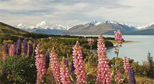 全球八大截然不同的國家公園