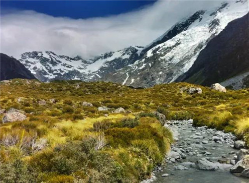 全球八大截然不同的國家公園
