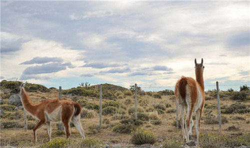 全球八大截然不同的國家公園