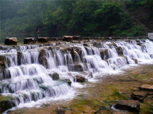 山西動植物資源寶庫——晉城蟒河
