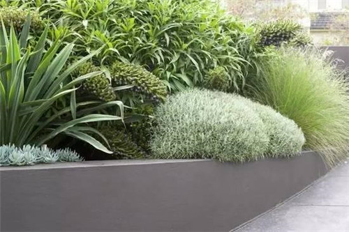 坡地庭院,別具一格的美