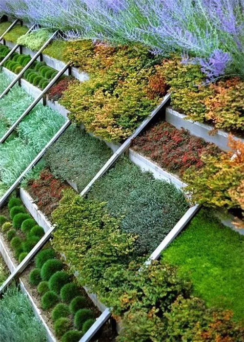 坡地庭院,別具一格的美