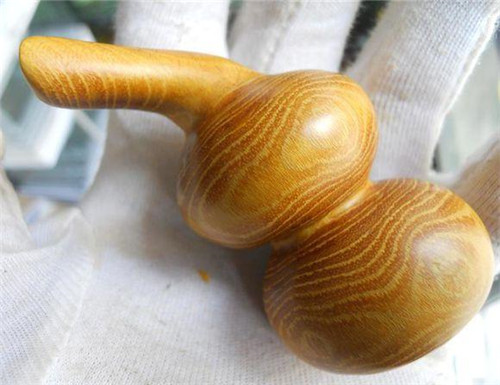 濟(jì)南南部山區(qū)的珍貴樹種介紹——柘木