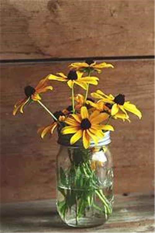 如何讓鮮切花的美延長(zhǎng)一倍時(shí)間