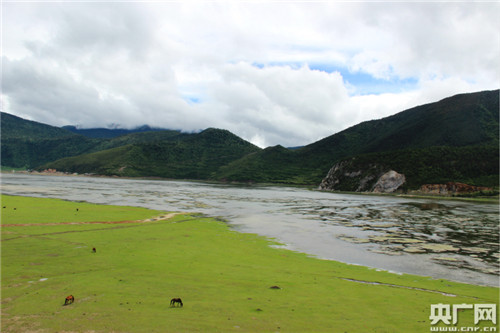 退耕還濕社區(qū)共管 納帕海濕地生態(tài)保護(hù)見(jiàn)實(shí)效
