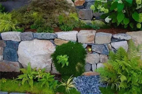 景觀設計:石頭縫里的景觀