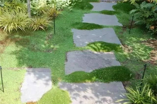 景觀設計:石頭縫里的景觀