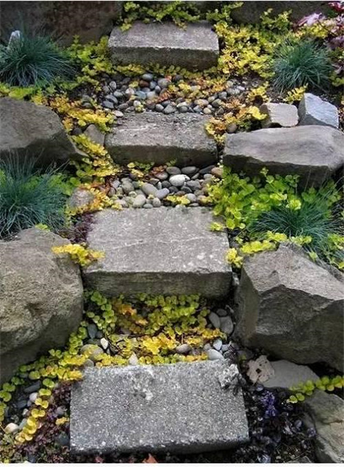 景觀設計:石頭縫里的景觀