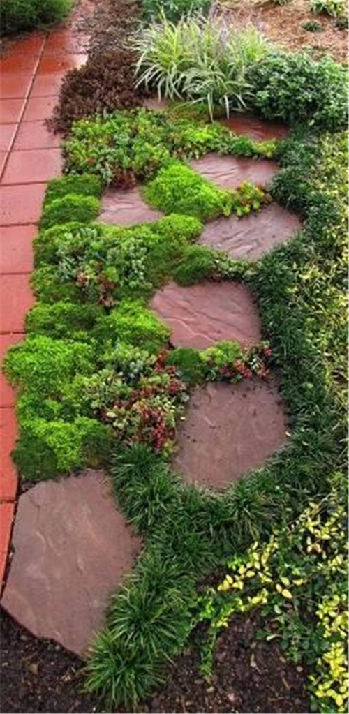 景觀設計:石頭縫里的景觀