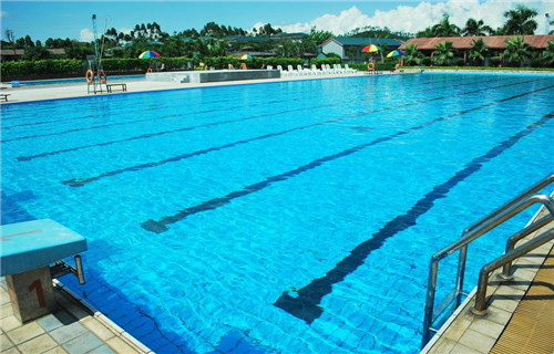 Natural swimming pool 打造夏日生態泳池