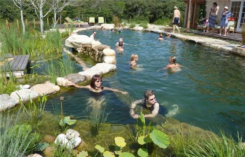 Natural swimming pool 打造夏日生態泳池