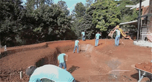 Natural swimming pool 打造夏日生態泳池