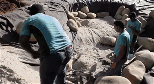 Natural swimming pool 打造夏日生態泳池