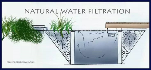 Natural swimming pool　打造夏日生態泳池