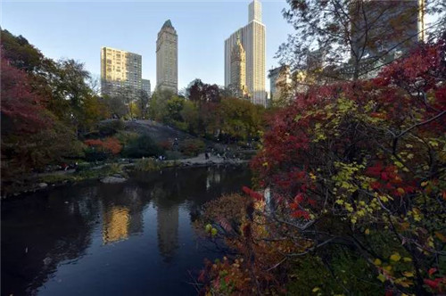副中心“中央公園”將建在東方化工廠