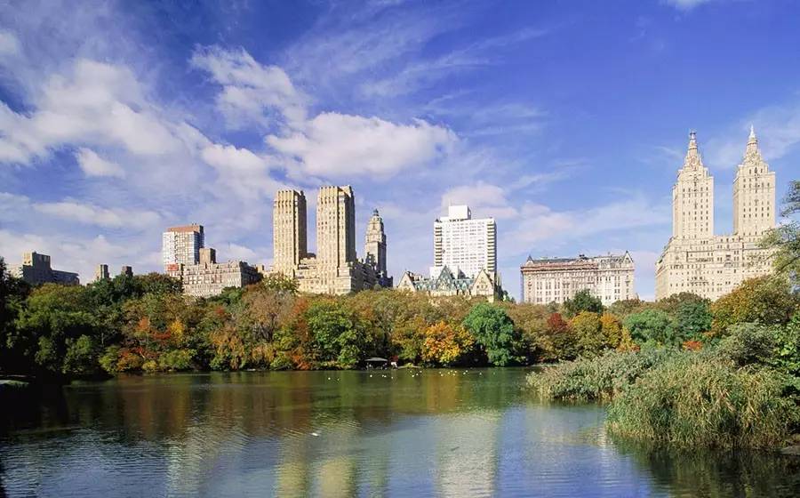 如何在一流的國際大都市中進行綠化規劃?