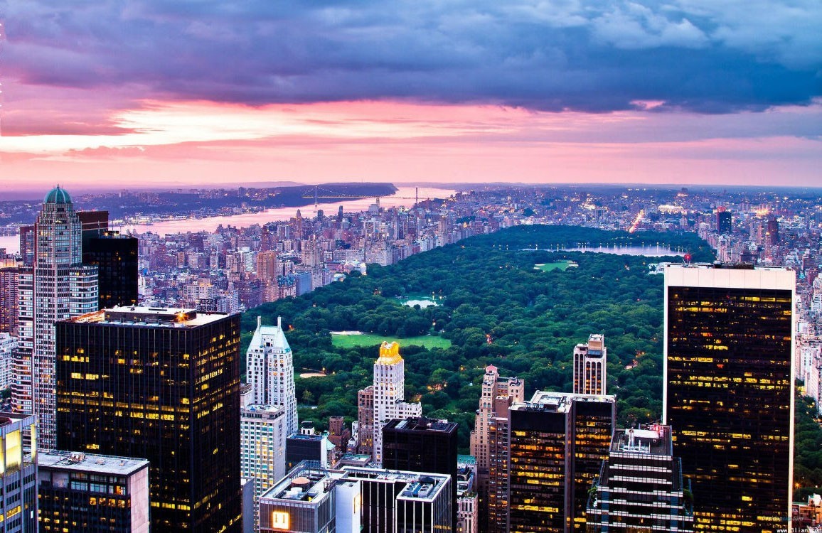 如何在一流的國際大都市中進行綠化規劃？