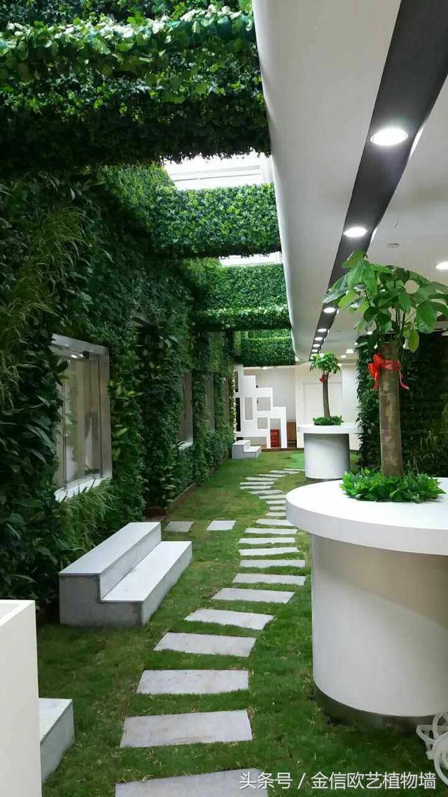 植物墻如何給城市降溫,遏制熱島效應(yīng)呢?