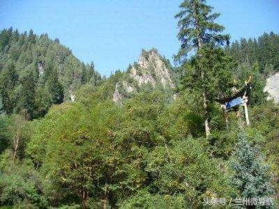 夏日旅游勝地——吐魯溝國家4A級森林公園