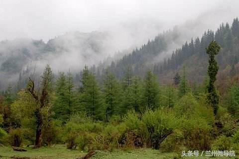 夏日旅游勝地——吐魯溝國家4A級森林公園