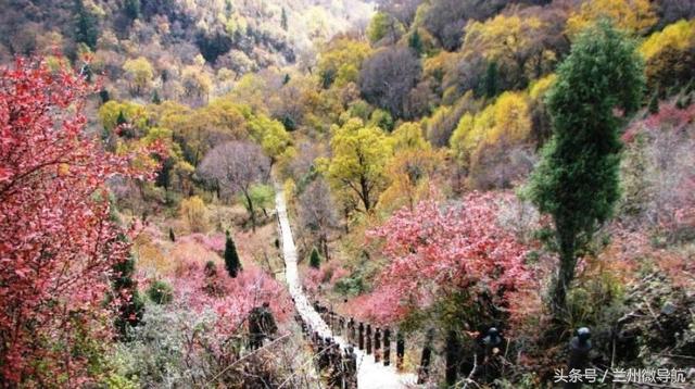 夏日旅游勝地——吐魯溝國家4A級森林公園